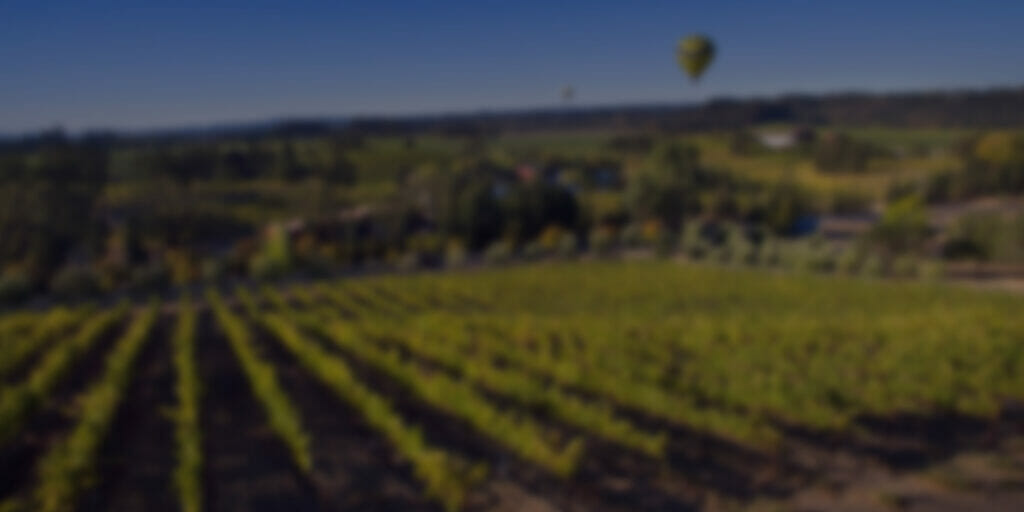 Picture of a Alexander Valley vineyard.