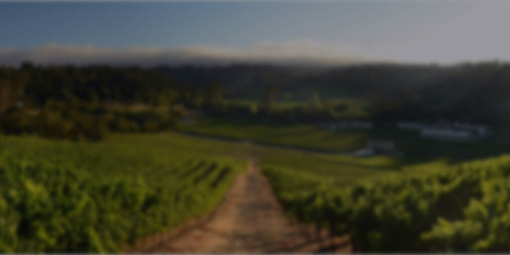 Image of growing grapes on a hill in Sullivan Vineyard.