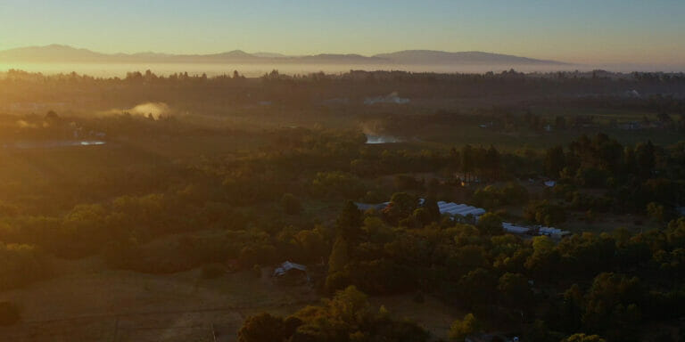 Shot of the Russian River Valley at dusk, showing an expansive forest and mountains in the distance.